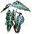 Muda de Alocasia Amazônica - Imagem 3