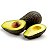 Muda de Abacate Avocado Hass - Enxertada-Produz em Vaso - Imagem 1