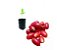 Muda de Fruta do Milagre - Miracle Fruit- 1 - Imagem 1