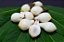 Muda Frutinha de Leite ( Cordia taguahyensis ) - Imagem 6