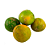Muda Limão Cravinho Enxertado (Bonsai) - Produzindo - Exclusivo no Brasil - Imagem 1