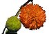 Muda Amora Mulberry Amoreira Papel Broussonetia Fruta - Produz em Vaso - Imagem 1