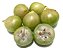 Muda Jabuticaba Branca ( Plinia ( Myrciaria ) aureana - Imagem 1