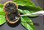 Muda Puruí Graúdo ou Marmelada de Bezerro (Alibertia Edulis) - Muito Doce - Imagem 4