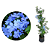 Muda Bela Emília (Plumbago Auriculata) - Azul- Já pode Florecer - Imagem 1