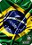 Capa para mala Star Bags Brasil - Imagem 2