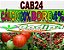 CÁLCIO20% BORO4% - Imagem 1