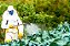 Adubo liquido como usar - Imagem 1