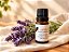 Lavanda - Imagem 3