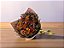 Bouquet de Flores Variadas Secas Laranja Tam G - Imagem 1