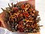 Bouquet de Flores Variadas Secas Laranja Tam G - Imagem 2