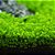 Semente Grama Planta Aquática Aquário - Love Grass - Imagem 4