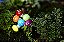 10 Mini Cogumelo Colorido Terrário MiniJardim Vaso Decoração - Imagem 3