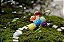 10 Mini Cogumelo Colorido Terrário MiniJardim Vaso Decoração - Imagem 6