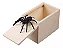 Caixa Surpresa De Madeira Aranha Susto Truque Pegadinha - Imagem 3