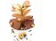 Kit 10 Mini Abelha Enfeite Terrário Bonsai Vaso MiniJardim - Imagem 2
