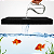 Esponja Espuma Filtrante  Aquário Sump Canister 25x25x2cm - Imagem 3