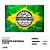 Bandeira "Produto Nacional" - Vegas - Imagem 6