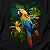 Camiseta Ecologia Cool Tees Amazonia Passaros Araras - Imagem 2