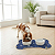 Tapete Comedouro Pet Impermeável Higienico para Cães e Gatos – Kit 3 Tapetes Estampados - Imagem 3