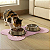 Tapete Comedouro Pet Impermeável Higienico para Cães e Gatos – Kit 3 Tapetes Estampados - Imagem 11