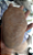 Marrom Batata - 30 Kg - Imagem 2