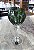 TAÇA ÁGUA CRISTAL - IMPERATTORE BY STRAUSS - COR VERDE - CX 1 PC - Imagem 2