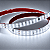 Mangueira 240 LED Maleavel 127v-220v / METRO - Imagem 3