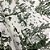 Jacquard camponesa francesa verde - Imagem 2