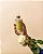 Agua Perfumada Splash Summer Patbo - Imagem 4