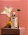 Agua Perfumada Splash Lotus Garden - Imagem 3