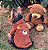 Casaco Urso - Imagem 2