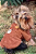 Casaco Urso - Imagem 3