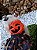 Vestido Abóbora Halloween - Imagem 2