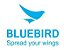 COLETOR DE DADOS BLUEBIRD BM180 2D - Imagem 3