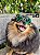 Oculos escuro verde furta cor para cães e gatos de pequeno porte - Imagem 1