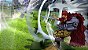 One Piece Burning Blood PS4 Mídia digital - Imagem 5