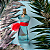 Perfume Fragrance World Urban Paradise Women Eau De Parfum 90ml - Imagem 3