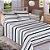 Jogo de Cama Premium Queen Listras Azul/Creme - 150 Fios - Estamparia - Imagem 1