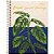 Caderno Naturalis Journey - 80 Folhas - Tilibra - Imagem 1
