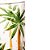 Jogo 6 Copos Long Drink Palm Tree Handpaint 360ml - Wolff - Imagem 3