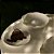 Prato Fundo de Porcelana New Bone Butterfly Flower 22cm - Lyor - Imagem 3