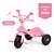 Triciclo Infantil Princesas - Biemme - Imagem 2