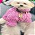 Camiseta Feminina T-Shirt Luxo Rosa Pink com Acessórios Estampa Cachorro Poodle - Imagem 4