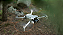 Drone Dji Mini 4 Pro Fly More Combo (DJI RC 2) - Imagem 9