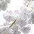 Videira Artificial de Flores de Pessegueiro 180cm com Mais de 120 Flores - Imagem 6