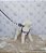 Peitoral Regulável Couro Azul Woof - Imagem 1