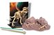 Kit de Escavação de Esqueleto - Tiranossauro Rex - Imagem 2