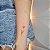 AGENDAMENTO DOG TATTOO ink - Imagem 6