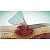 Cutimed Sorbact Swabs Compressa 7cm x 9cm Ref. 72165-00 - Imagem 3